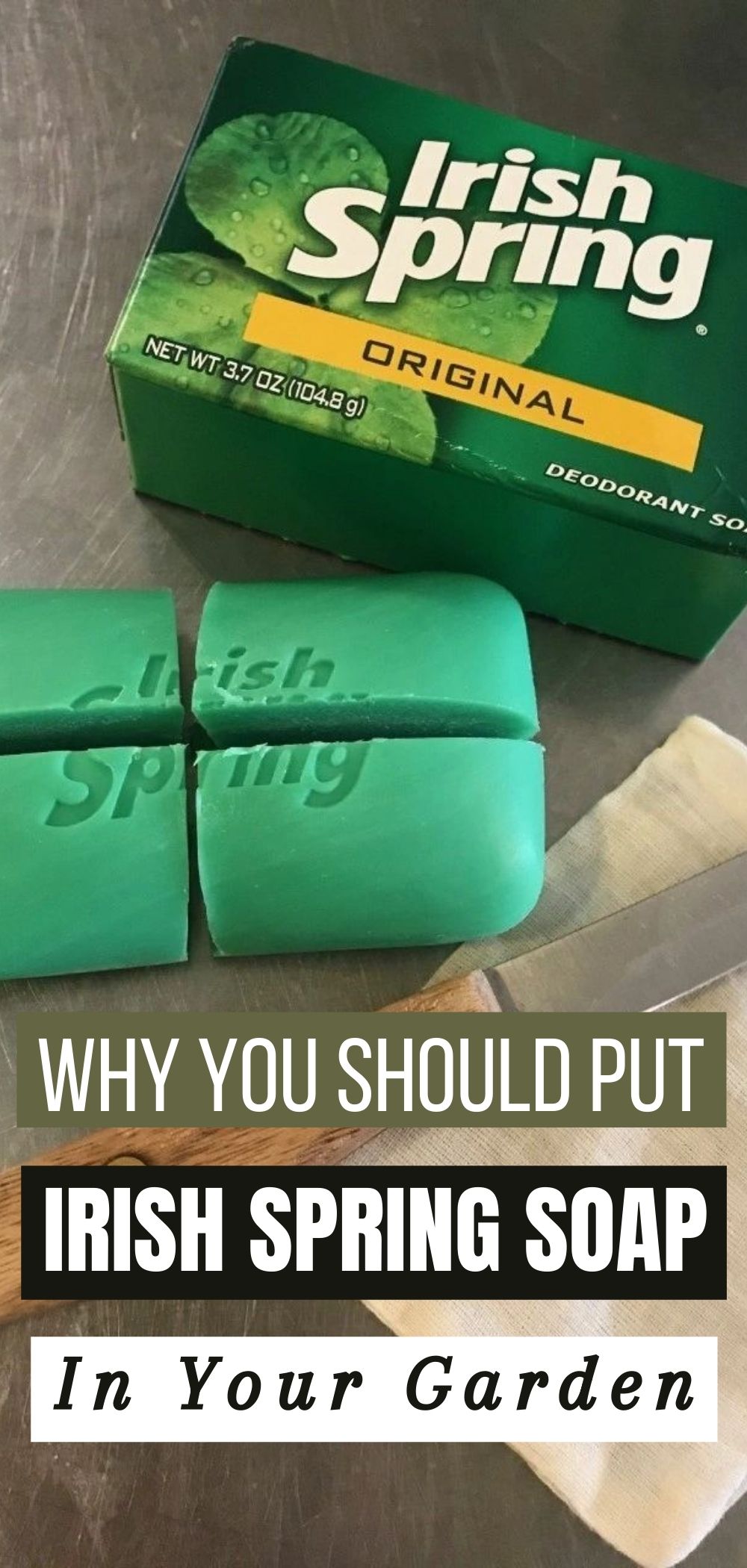 This is Why You Should Put Irish Spring Soap in Your Garden!